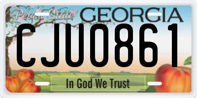GA license plate CJU0861