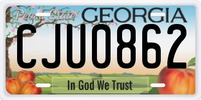GA license plate CJU0862