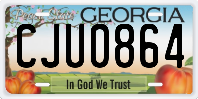 GA license plate CJU0864