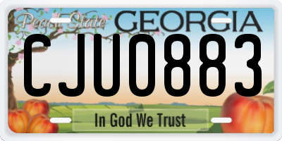 GA license plate CJU0883