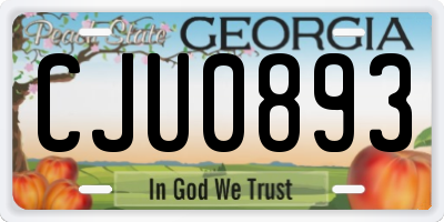 GA license plate CJU0893