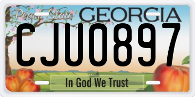 GA license plate CJU0897