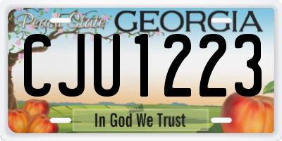 GA license plate CJU1223