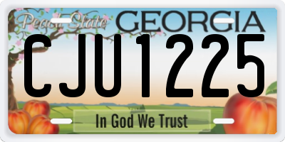GA license plate CJU1225
