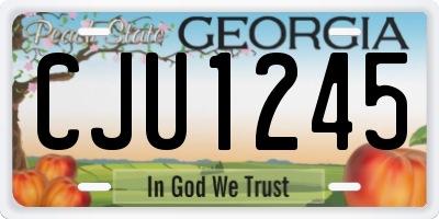 GA license plate CJU1245