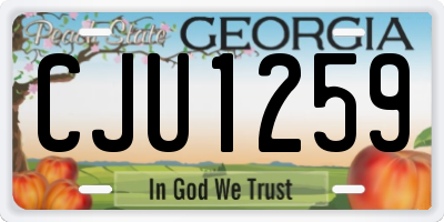 GA license plate CJU1259