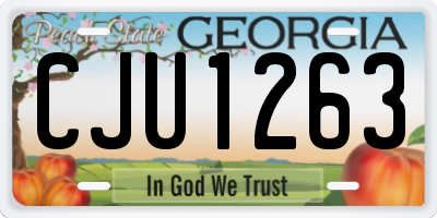 GA license plate CJU1263