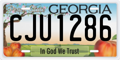 GA license plate CJU1286