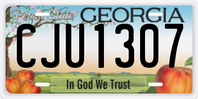 GA license plate CJU1307