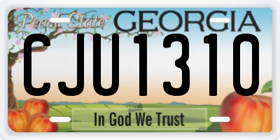 GA license plate CJU1310