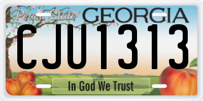 GA license plate CJU1313
