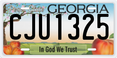 GA license plate CJU1325