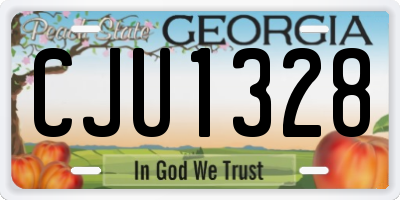 GA license plate CJU1328