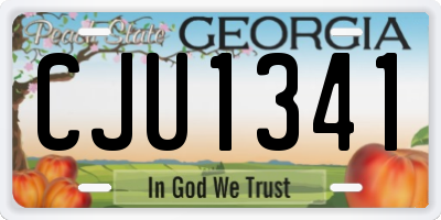 GA license plate CJU1341