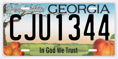 GA license plate CJU1344