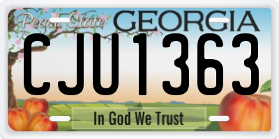 GA license plate CJU1363