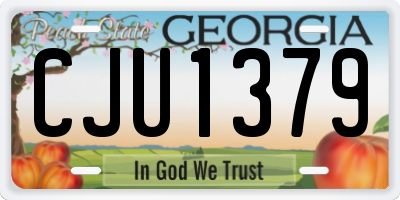 GA license plate CJU1379