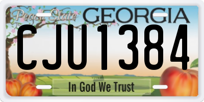 GA license plate CJU1384