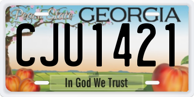 GA license plate CJU1421