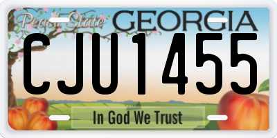 GA license plate CJU1455