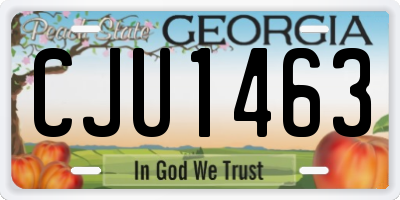 GA license plate CJU1463