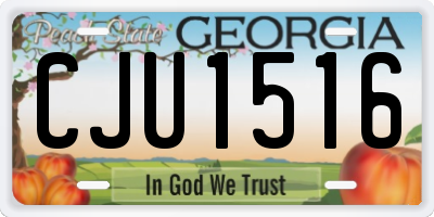 GA license plate CJU1516