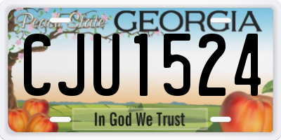 GA license plate CJU1524