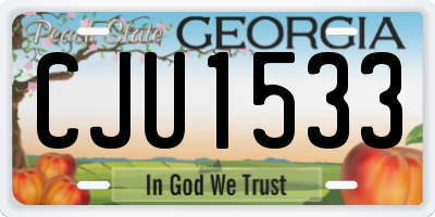 GA license plate CJU1533