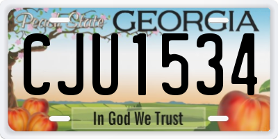 GA license plate CJU1534