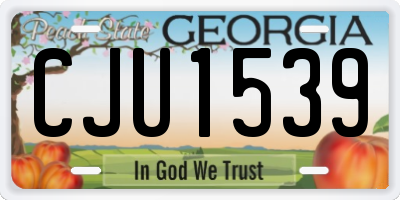 GA license plate CJU1539
