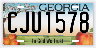 GA license plate CJU1578