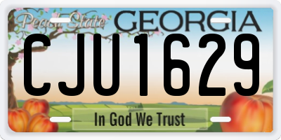 GA license plate CJU1629