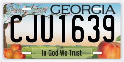 GA license plate CJU1639