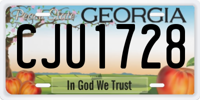 GA license plate CJU1728