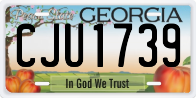 GA license plate CJU1739