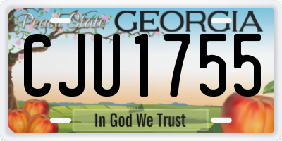 GA license plate CJU1755