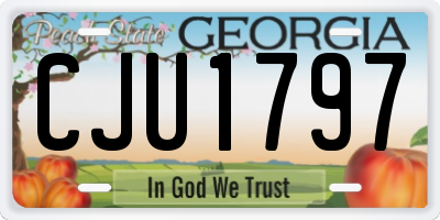 GA license plate CJU1797