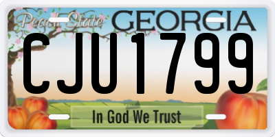 GA license plate CJU1799