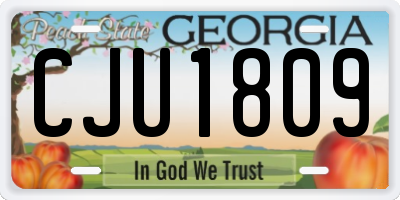 GA license plate CJU1809