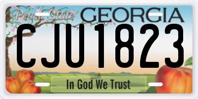 GA license plate CJU1823