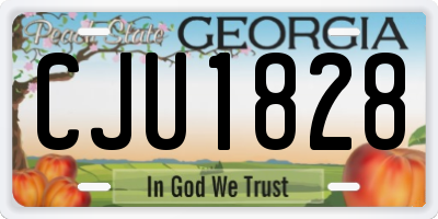 GA license plate CJU1828
