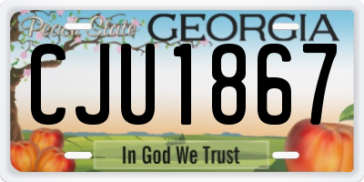 GA license plate CJU1867