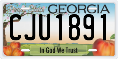 GA license plate CJU1891