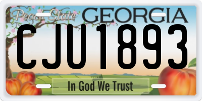 GA license plate CJU1893