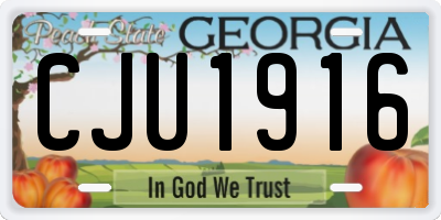 GA license plate CJU1916