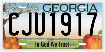 GA license plate CJU1917