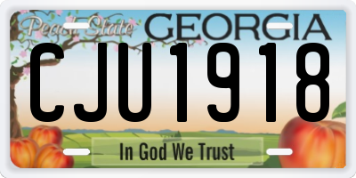 GA license plate CJU1918