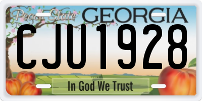 GA license plate CJU1928
