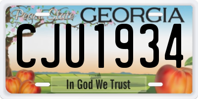 GA license plate CJU1934
