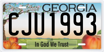 GA license plate CJU1993